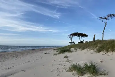Image de sur la digue à Prerow pour 2 à 10 personnes