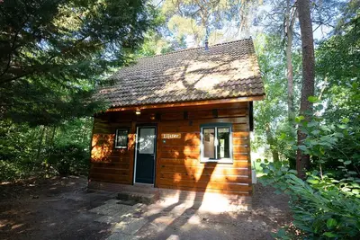 Image de Cozy Canadian Lodge by the meadow