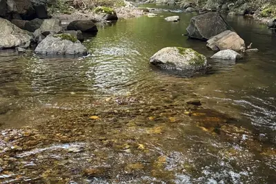 Image de Cozy 3-bedroom cabin in Woodbury. With Brook and mountain to enjoy.