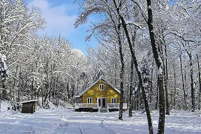 Image de Venez connecter avec la nature dans l'immensité de la Vallée Bras du Nord!