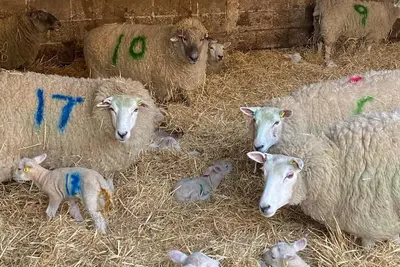 Image de Leveret Lodge