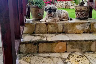 Image de Casa Olvera 3 km from downtown San Cristobal! Ideal for families