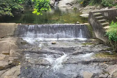 Image de Villa del Bosque\n Super close to great hiking trails, river, and charco hippie