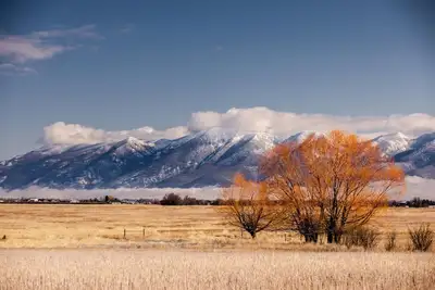 Image de The Migration Haven! Charming 2-bedroom cabin in wonderful Somers with WiFi