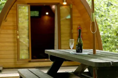 Image de Pod-Basic-Espace sanitaire-Vue sur le bois
