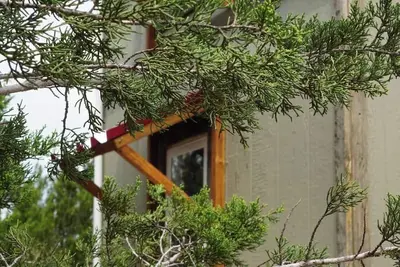Image de Pine Tiny House Rental