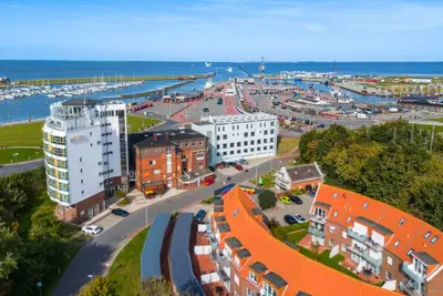 Image de Friesenglück am Deich