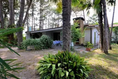 Image de Spacieuse villa entourée d'une végétation luxuriante