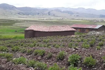 Image de Charming Rural House in Yanaoca