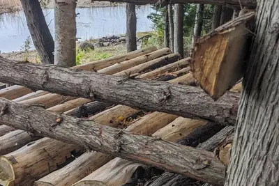 Image de Waterfront Green Cottage Pike Bay