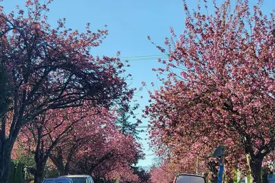 Image de Two bedroom suite in the heart of Vancouver