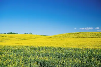 Image de Rest easy in our quiet Westminster, Co, hotel