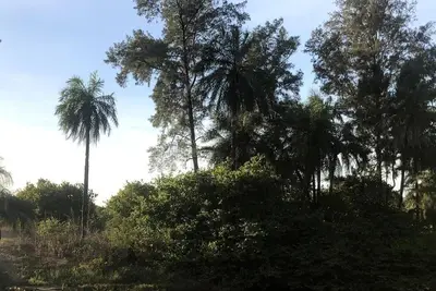 Image de Campement les Antilles