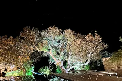 Image de Villa Vue Mer avec belle Piscine et beau jardin clos, bord de mer Corse Du Sud