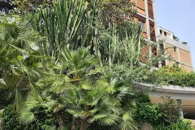 Image de Oli apartment with panoramic sea view