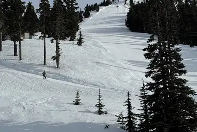 Image de Cozy condo on Mt Washington. Ski, bike, and hike the resort near Comox Valley.