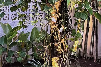 Image de Bingin 4br Villa Belimbing near Surfing Beaches