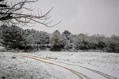 Image de mobil home bien équipé dans les Albères Catalanes à Villelongue dels monts