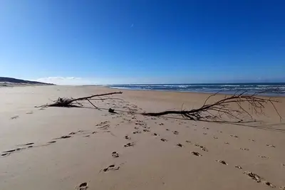 Image de Grange restaurée dans son airial landais