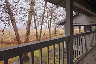 Image de Private cottage quiet & peaceful at Stallion Springs