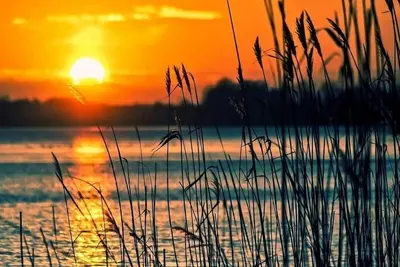 Image de The Zen Den, The Delaware Zen Den