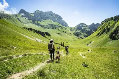 Image de Appartement dans les Alpes près du téléphérique