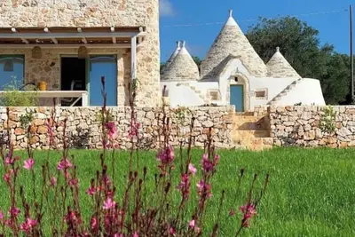 Trullo the Black Cat