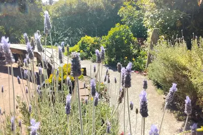 Image de Two minutes from famous Raglan surf beaches. Access to bush track. Dogs welcome.