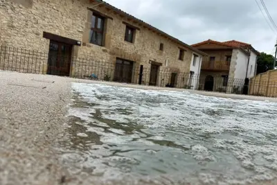 Image de Paz y Belleza Natural en arce