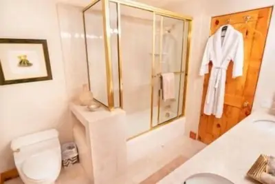 Image de Gorgeous 4 Bedroom Home Aspen Core, Hot Tub!