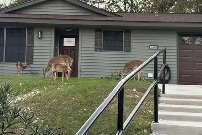 Image de Deer Hill - Charming 3-bedroom house with WiFi and Ac overlooking Copperas Cove