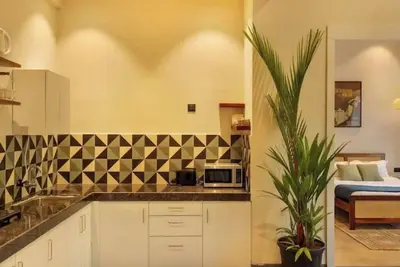 Image de Luxurious 1bhk in Arpora- Casa C’Alma