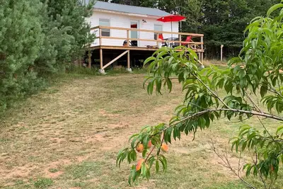 Image de Grey Bear Cottage