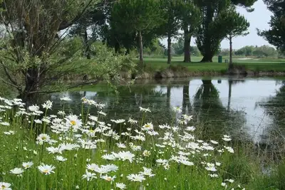 Image de Villa proche mer vue unique sur golf piano à queue piscine privée sans vis-à-vis