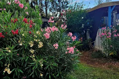 Image de Des vacances au paradis!