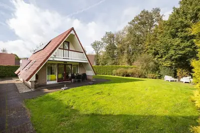 Image de Little Song Thrush I Beautiful Home near Forest Edge