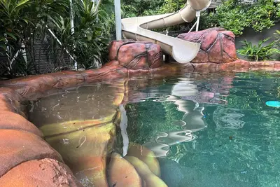 Image de Guesthouse on Gordon - private, modern granny flat with large shaded pool