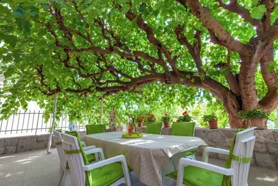 Image de Holiday house with large terrace near sea