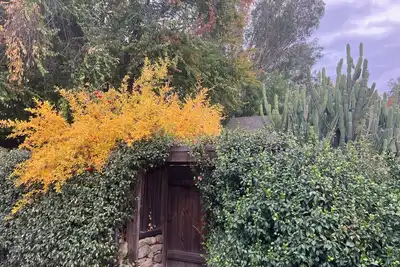 Image de Charming 2-bedroom house steps from downtown Ojai.