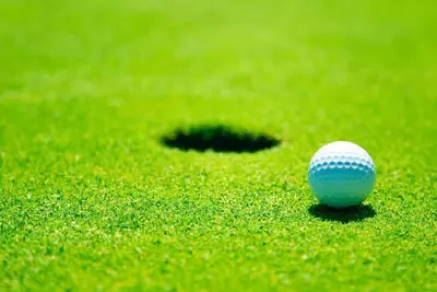 Image de Arnold Palmer Design - Lakewood National Resort