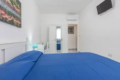 Image de Family Flamingos of Women's Bank by Vivim