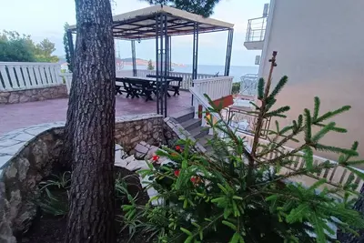 Image de Maison confortable dans une forêt de pins