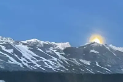 Image de Cozy Habart Escape!