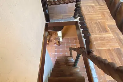 Image de Charming Atesan 2 floor house next to Hotel La Mansion in Nuevo Arenal