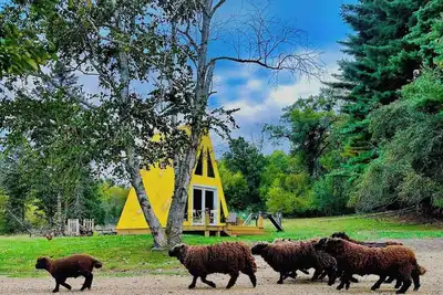 Cheese Wedge Cabin Idyllic Farm
