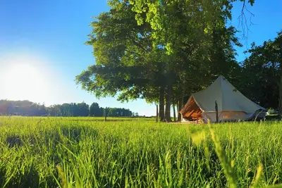 Image de Under Canvas Bornholm: Your Nature-filled Retreat