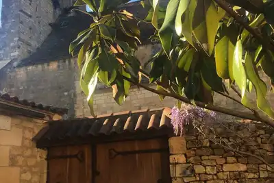 Image de belle demeure historique XIVième  et moderne