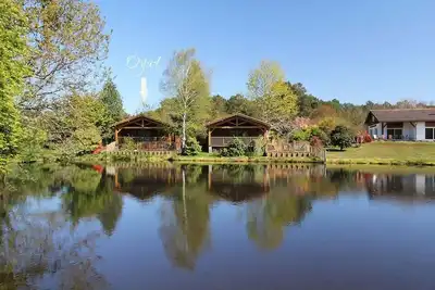 Image de Lodge classé avec piscine au cœur des Landes ☀️