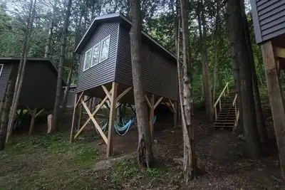 Image de Three Treehouse Cabins in the Bluff Woodlands