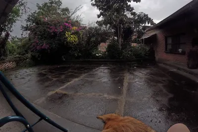 Image de Cottage surrounded by greenery, pets are allowed, we welcome you with a tour.